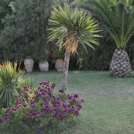 Ammos Exclusive & Studios